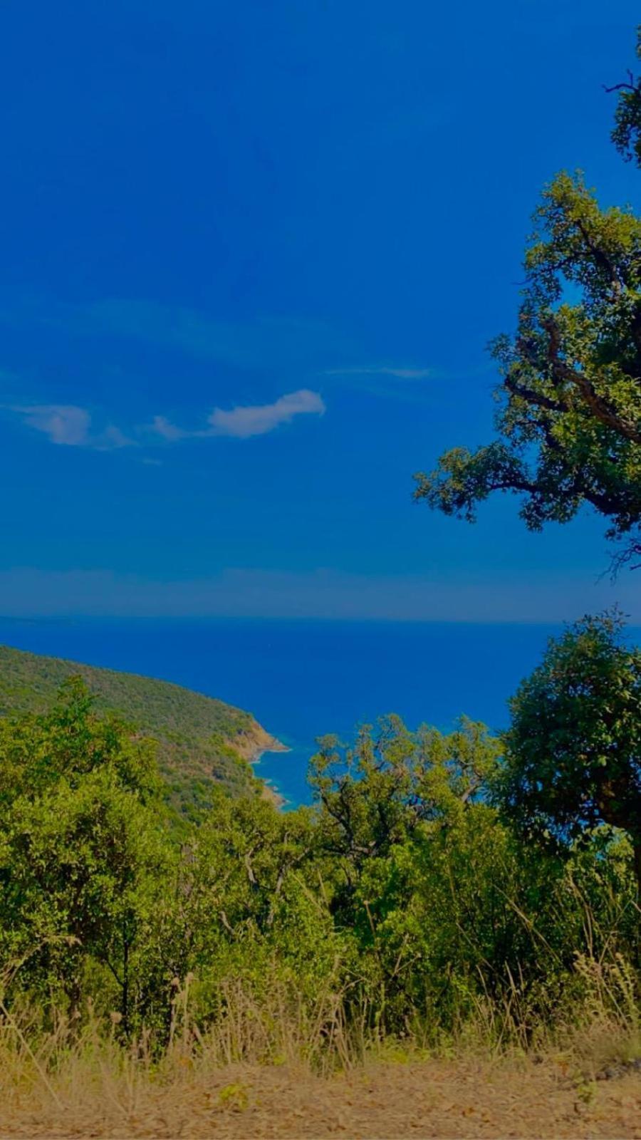 Belle Chambre Privee Avec Le Jardin Privatif Et Le Jacuzzi Cavalaire-sur-Mer Dış mekan fotoğraf