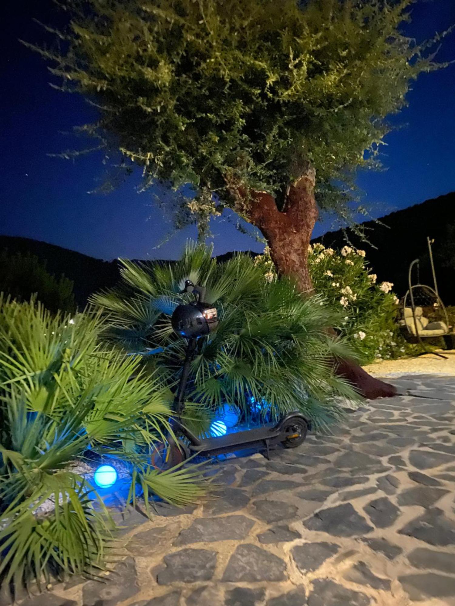 Belle Chambre Privee Avec Le Jardin Privatif Et Le Jacuzzi Cavalaire-sur-Mer Dış mekan fotoğraf
